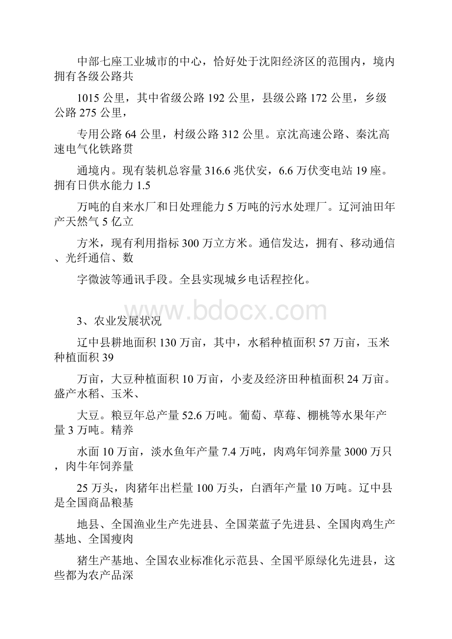 沈阳桂丰地产辽中近海经济区项目前期策划方案.docx_第3页