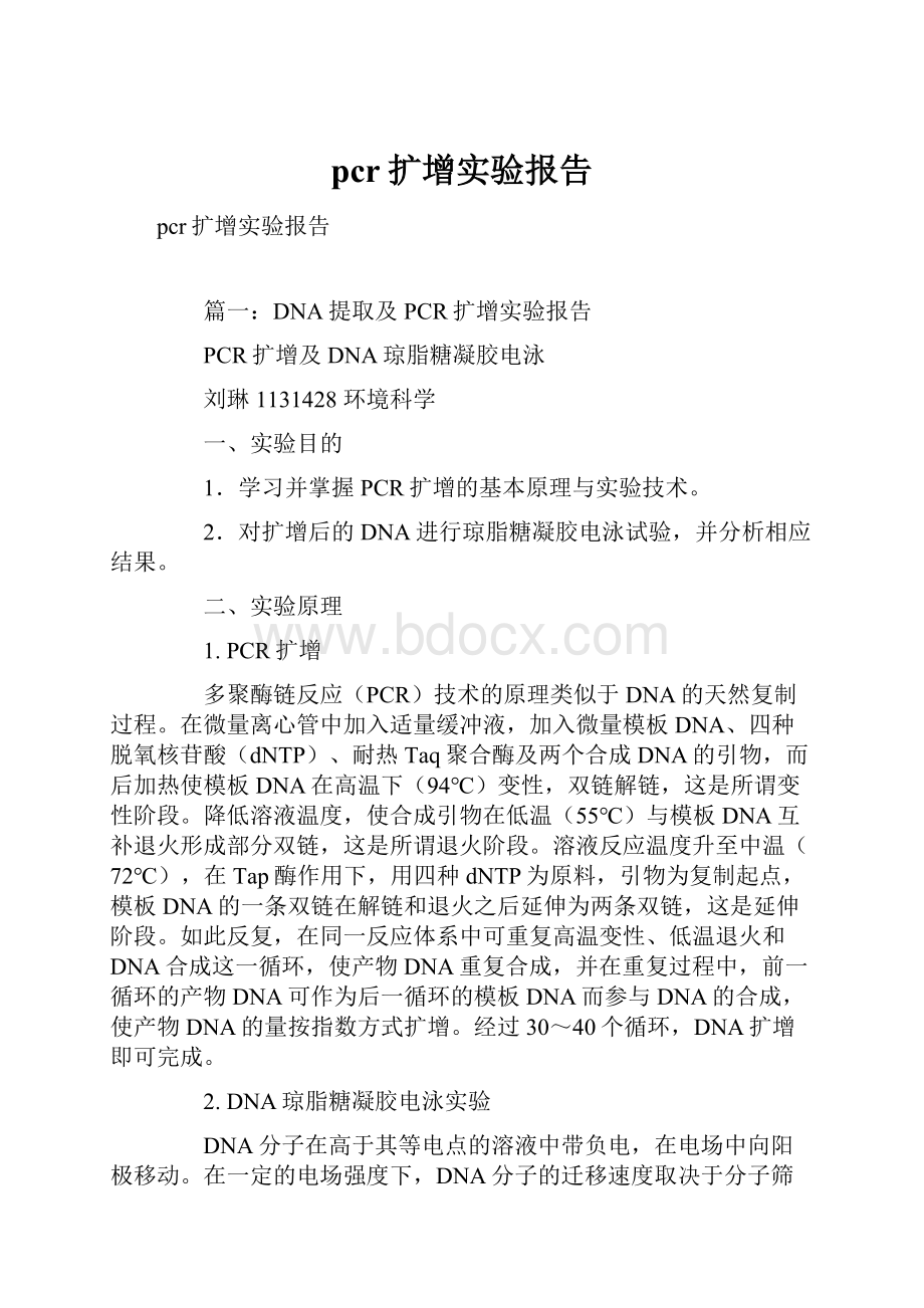 pcr扩增实验报告.docx