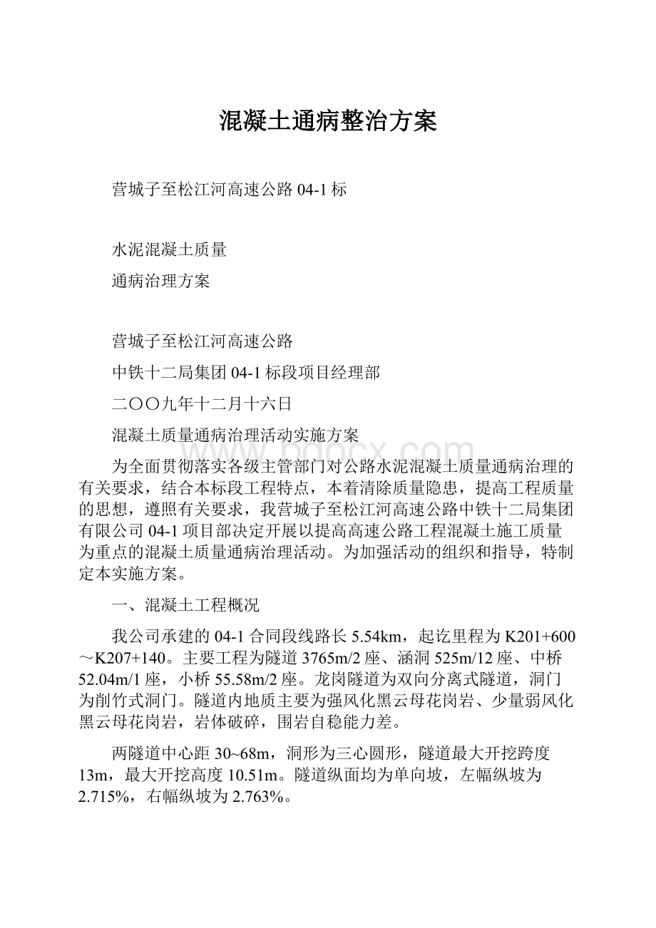 混凝土通病整治方案.docx