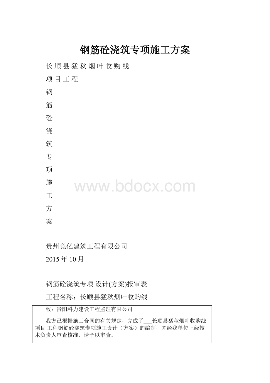 钢筋砼浇筑专项施工方案.docx