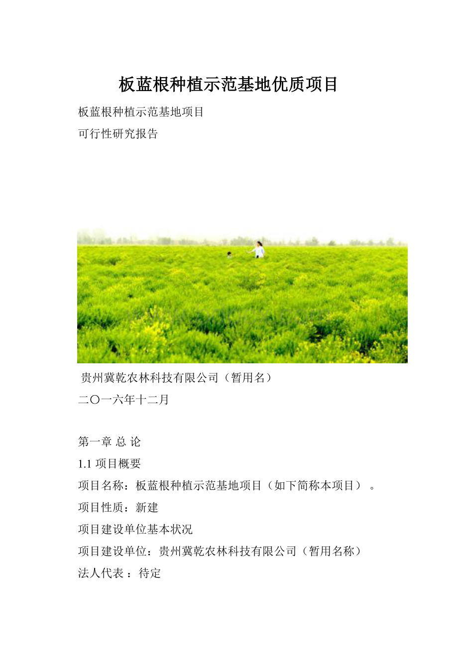 板蓝根种植示范基地优质项目.docx_第1页