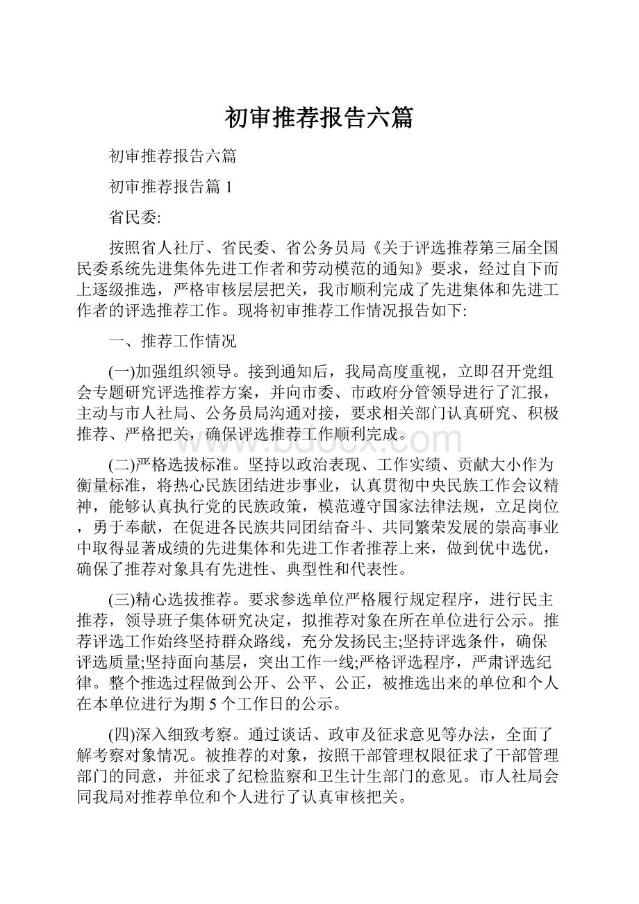 初审推荐报告六篇.docx