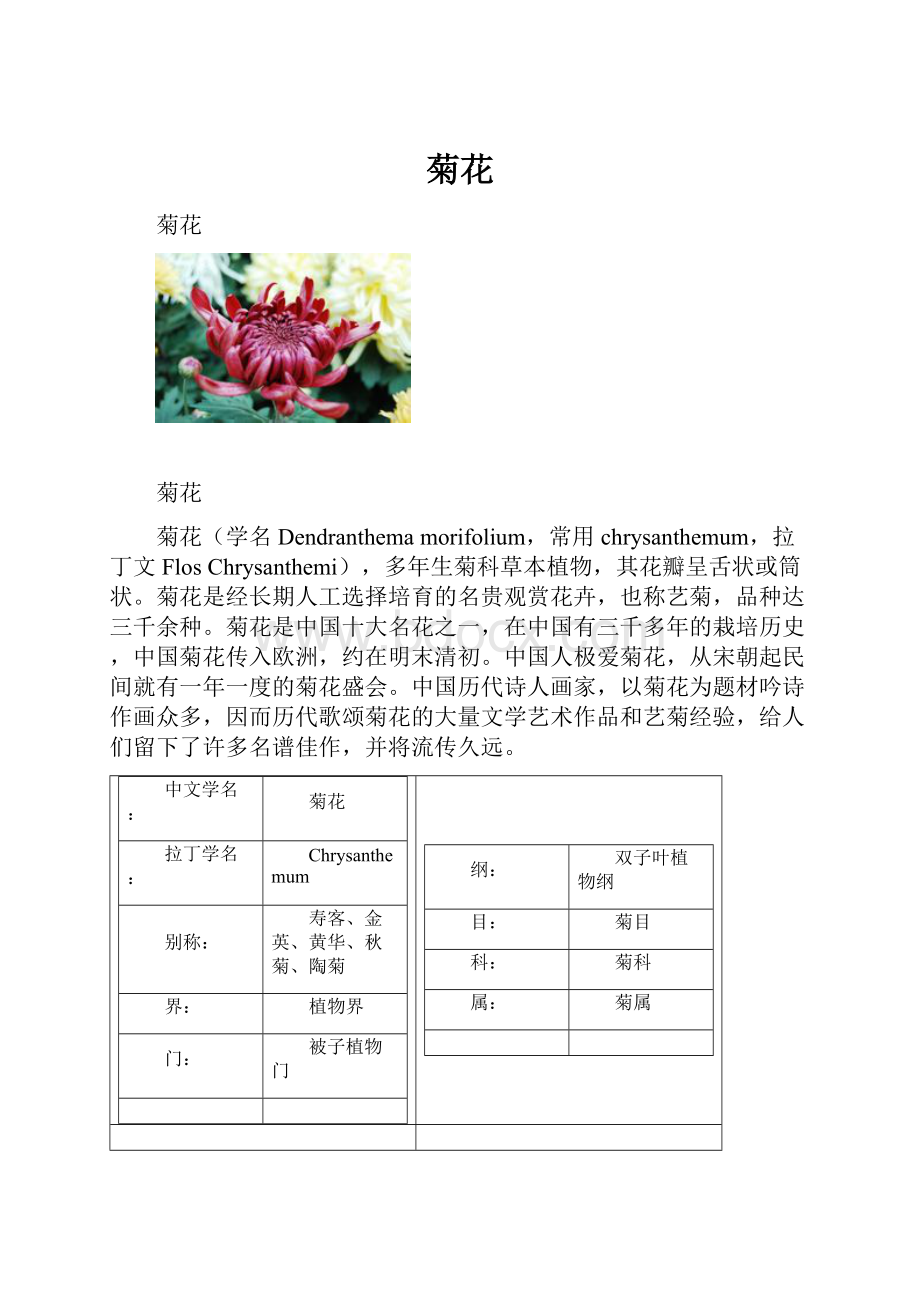 菊花.docx