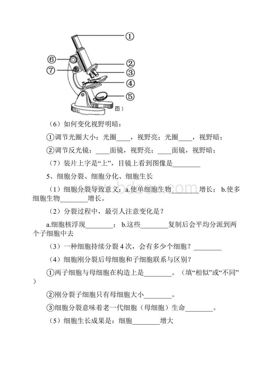 科学七年级上册知识点归纳与总结有填空有答案.docx_第3页