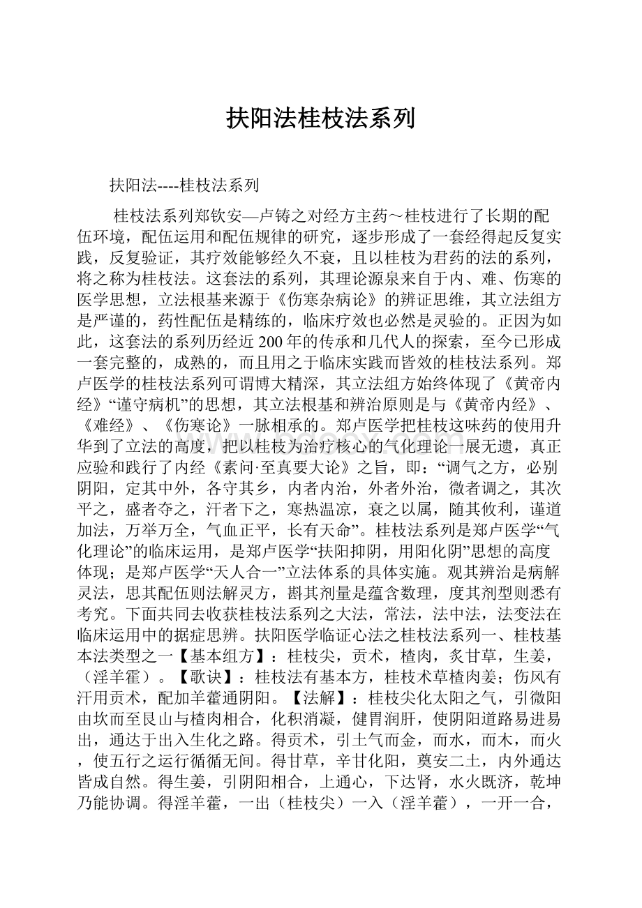 扶阳法桂枝法系列.docx