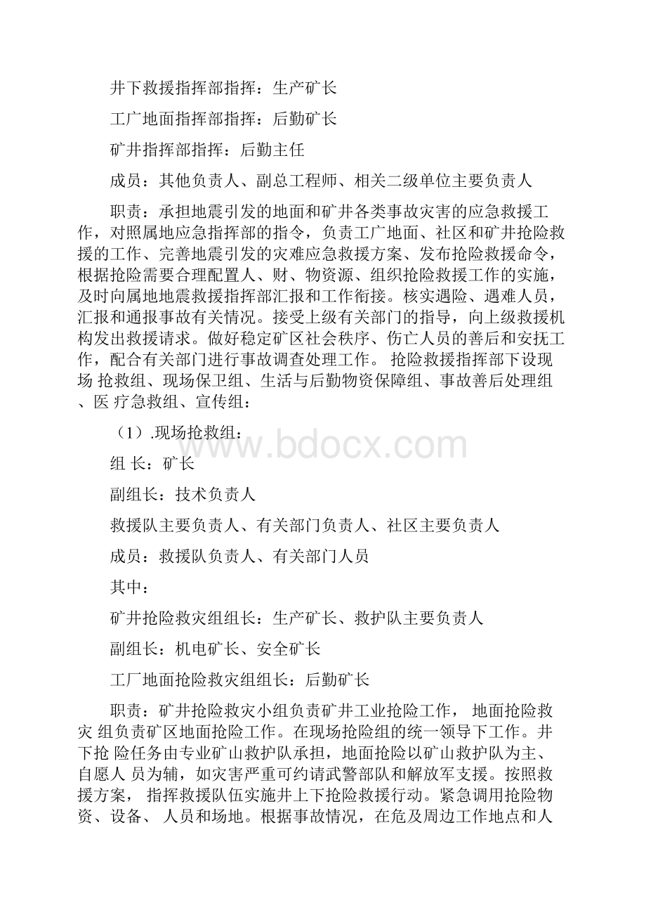 地震灾害专项应急预案.docx_第3页