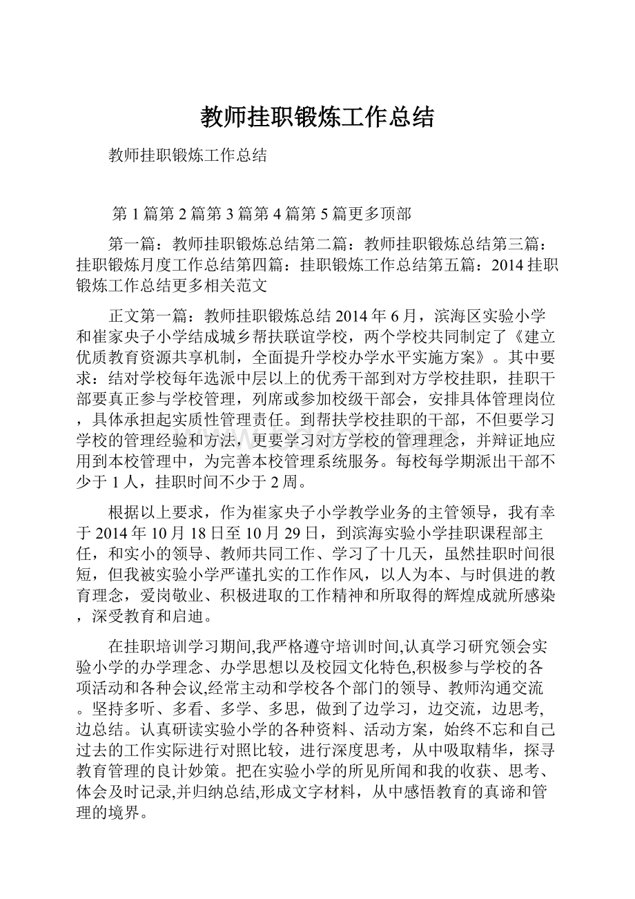 教师挂职锻炼工作总结.docx