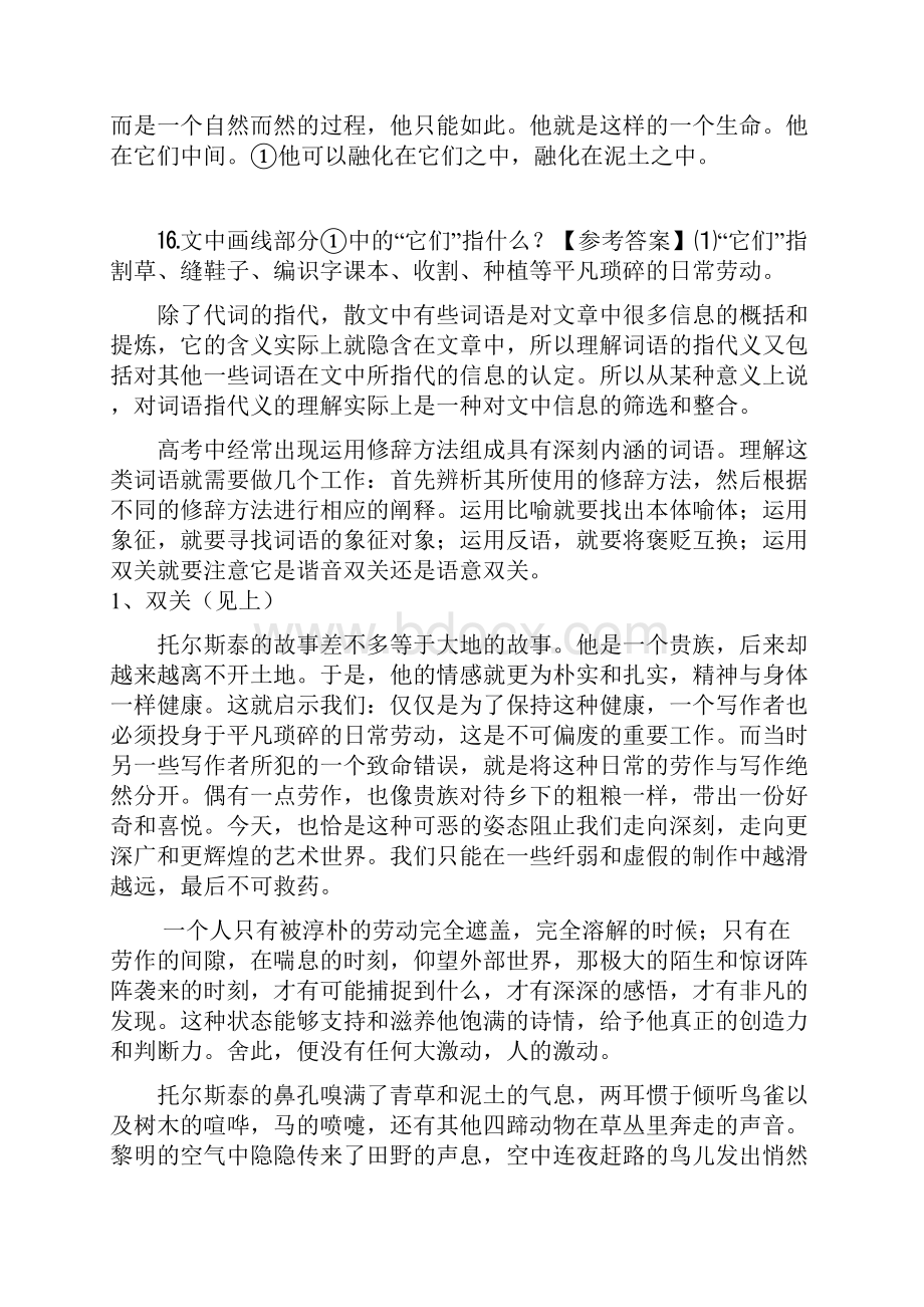 高中语文论文高考现代文阅读考点专项理解重要词语的含义.docx_第2页