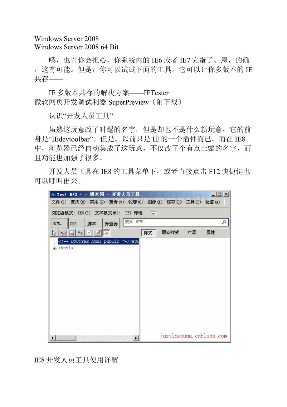 IE8开发人员工具使用详解.docx_第2页