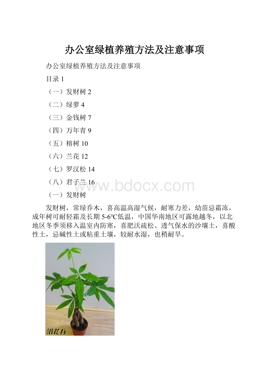 办公室绿植养殖方法及注意事项.docx_第1页