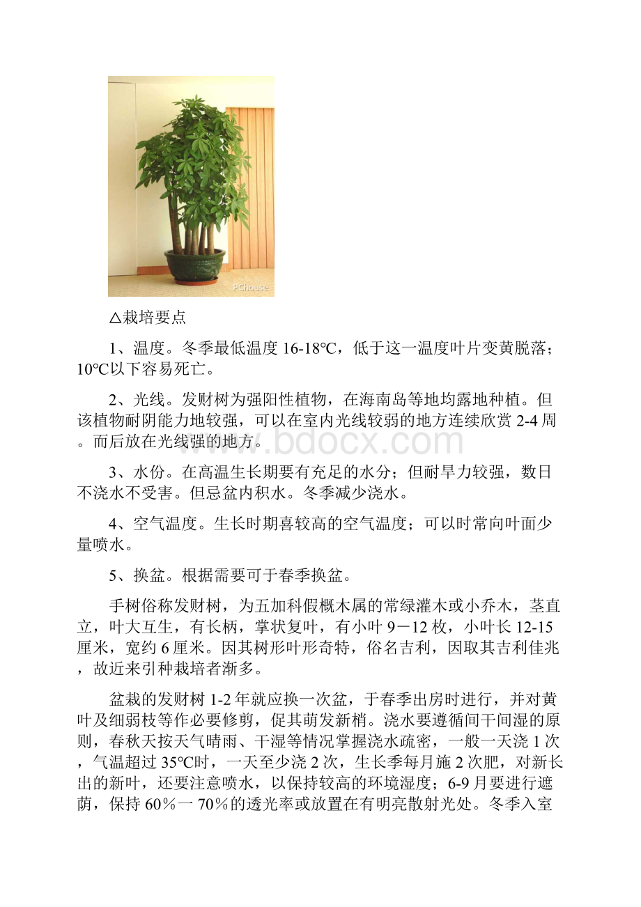 办公室绿植养殖方法及注意事项.docx_第2页