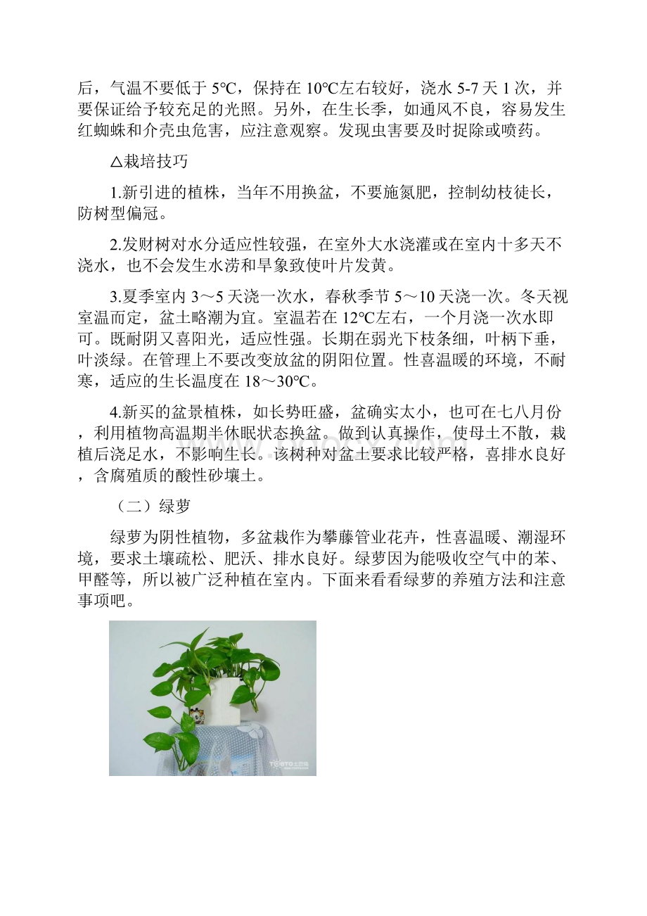 办公室绿植养殖方法及注意事项.docx_第3页