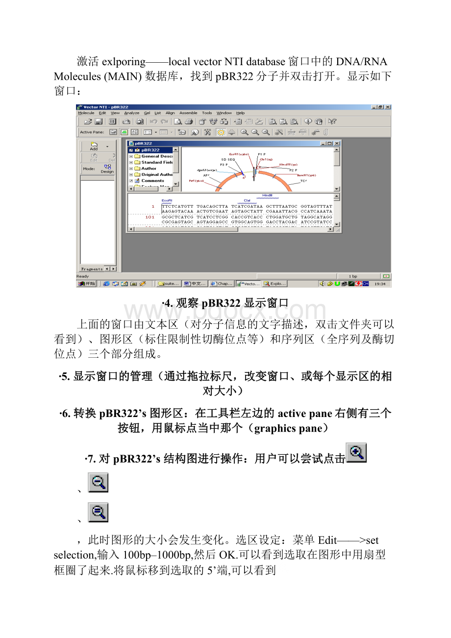 VectorNTI中文使用说明书.docx_第3页