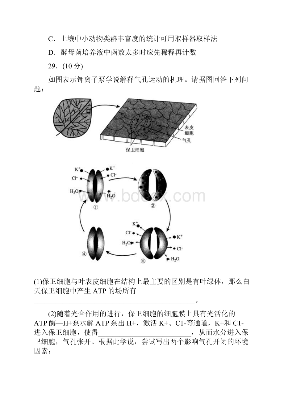 普通高等学校届高三招生全国统一考试模拟四理科综合生物试题含答案.docx_第3页