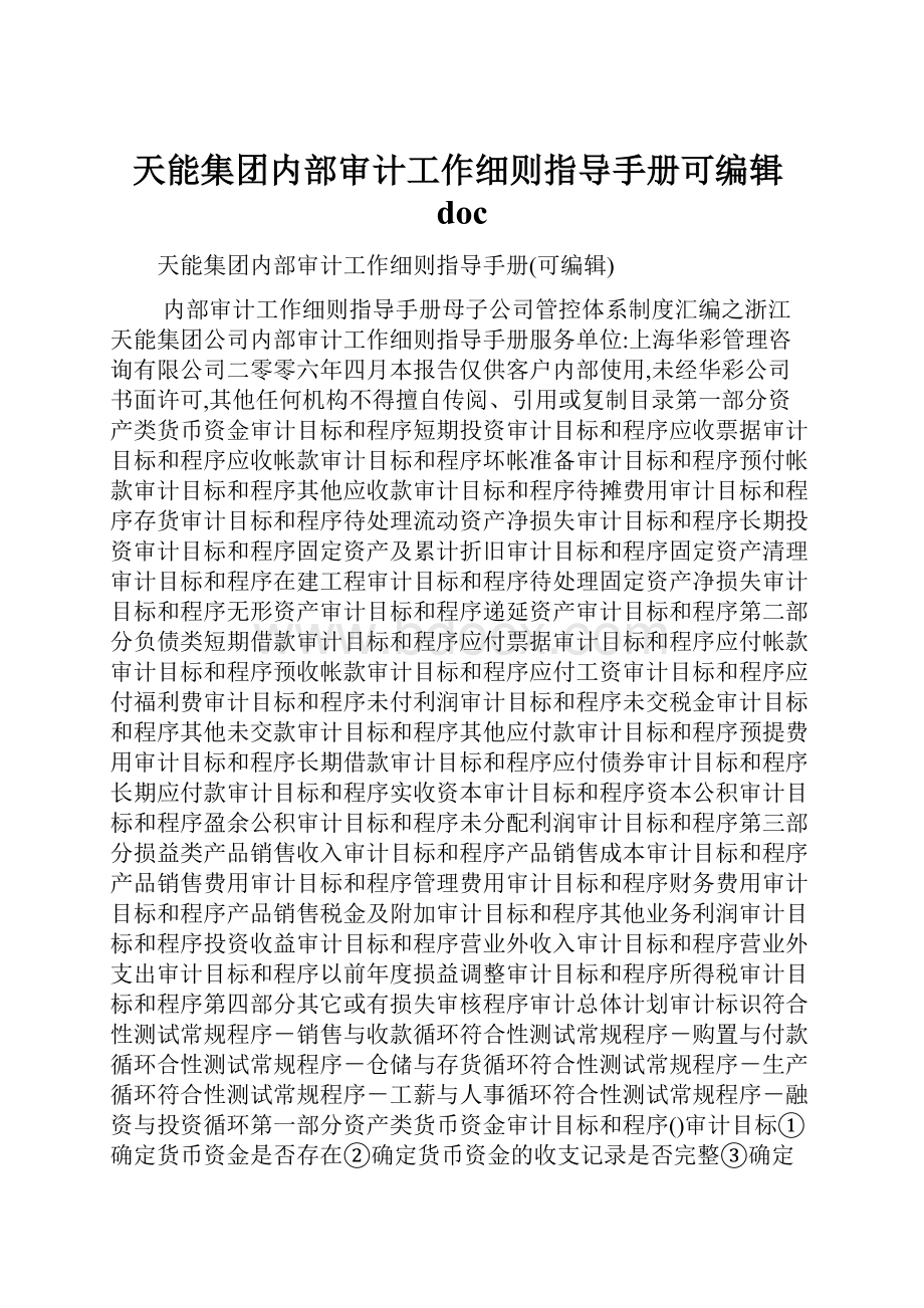 天能集团内部审计工作细则指导手册可编辑doc.docx