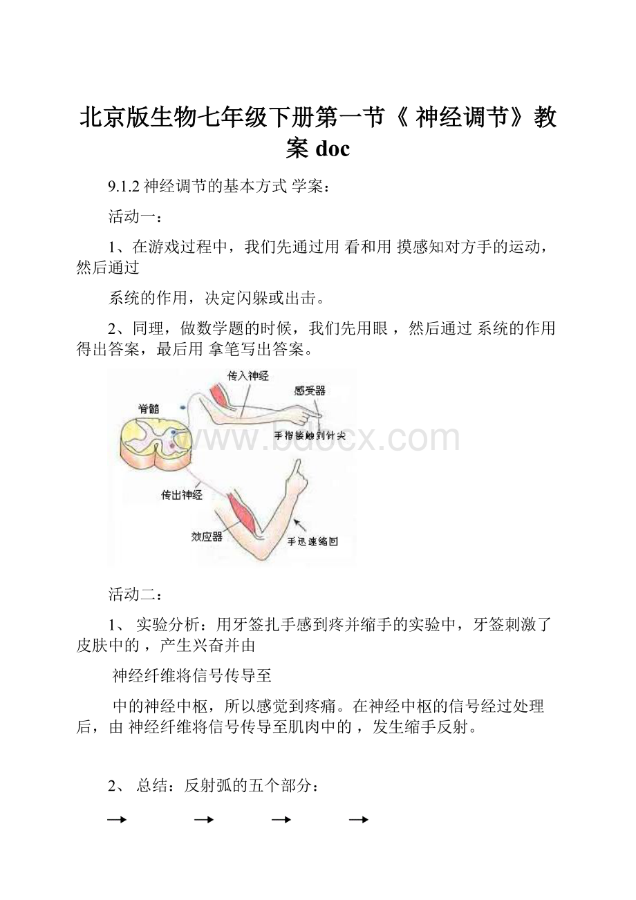 北京版生物七年级下册第一节《 神经调节》教案doc.docx