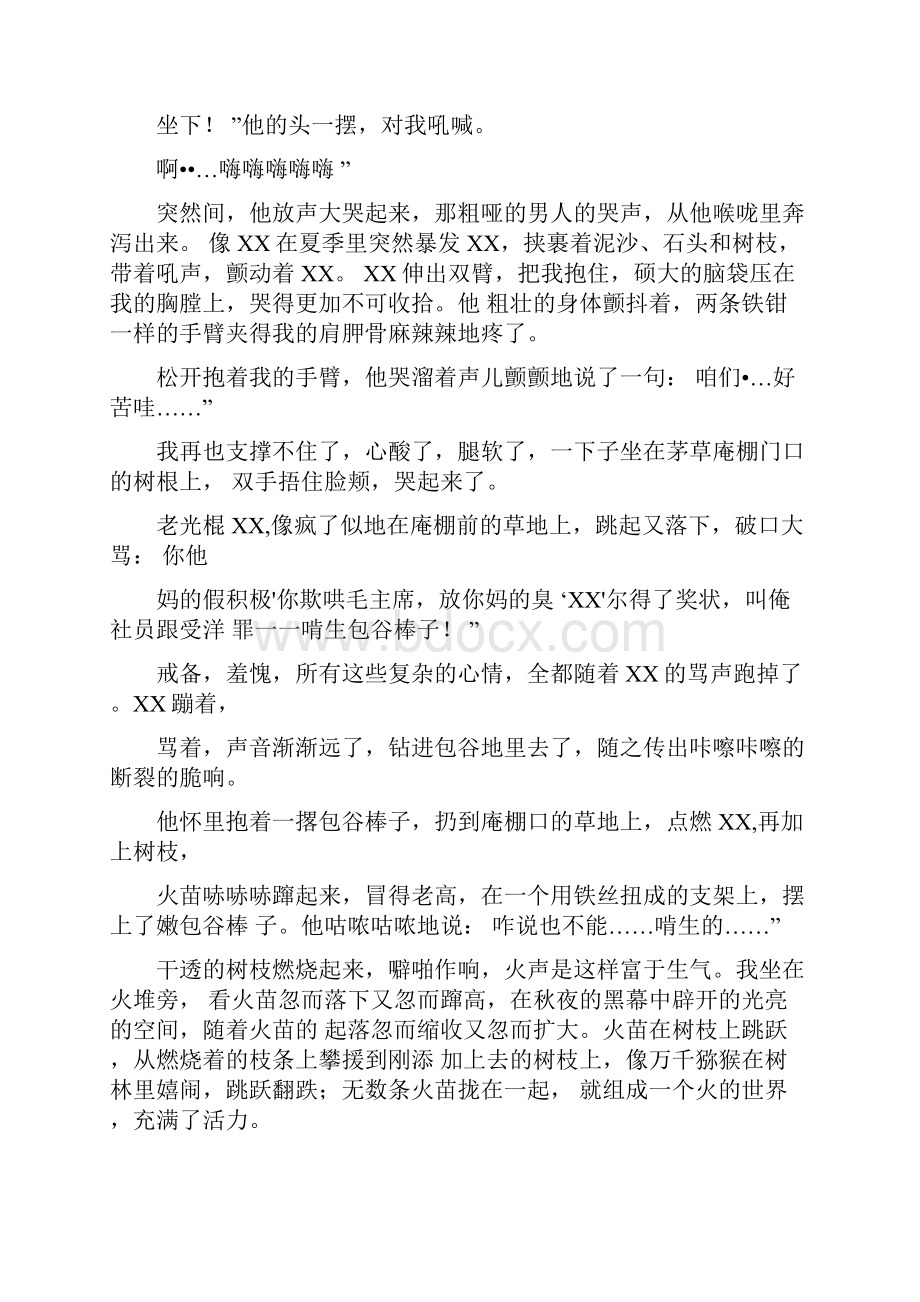 高考小说阅读试题精练.docx_第2页