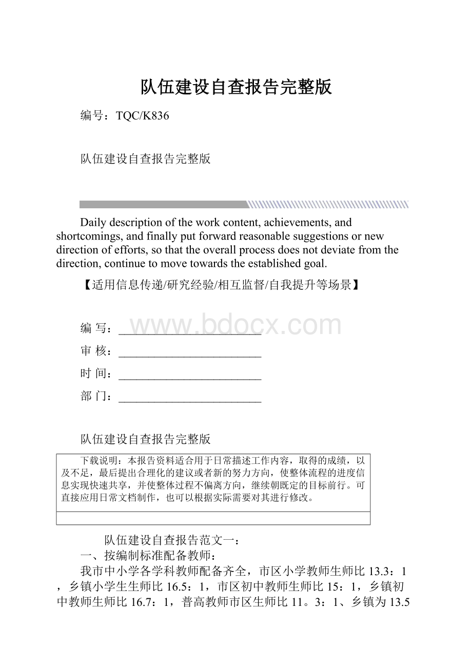 队伍建设自查报告完整版.docx