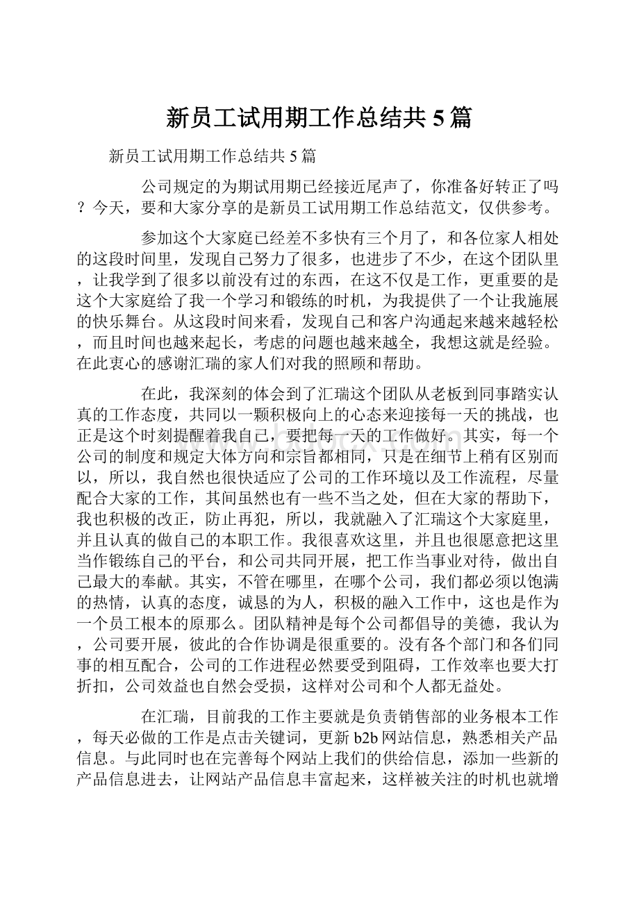 新员工试用期工作总结共5篇.docx