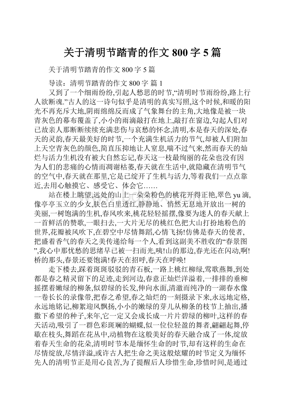 关于清明节踏青的作文800字5篇.docx_第1页