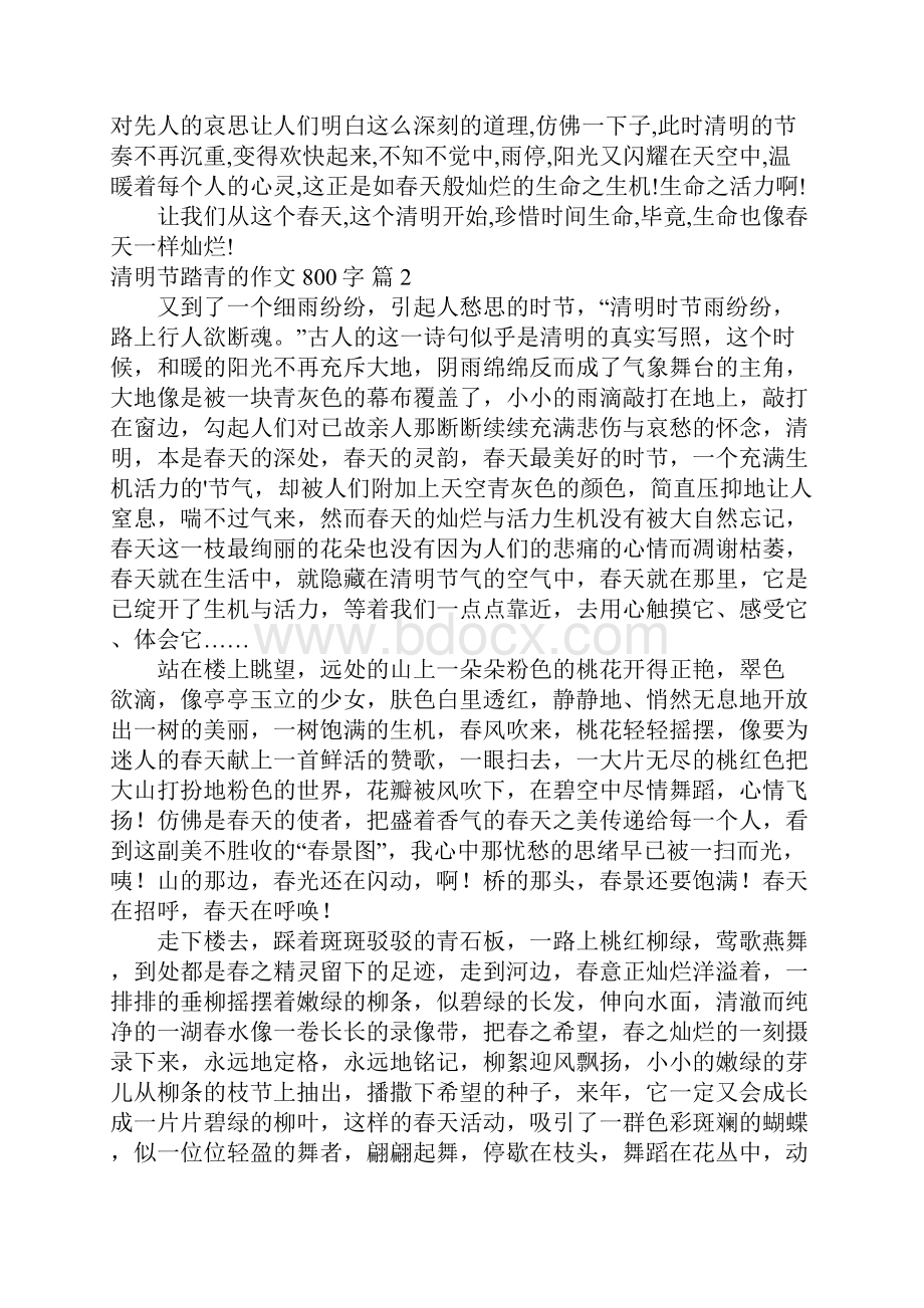 关于清明节踏青的作文800字5篇.docx_第2页