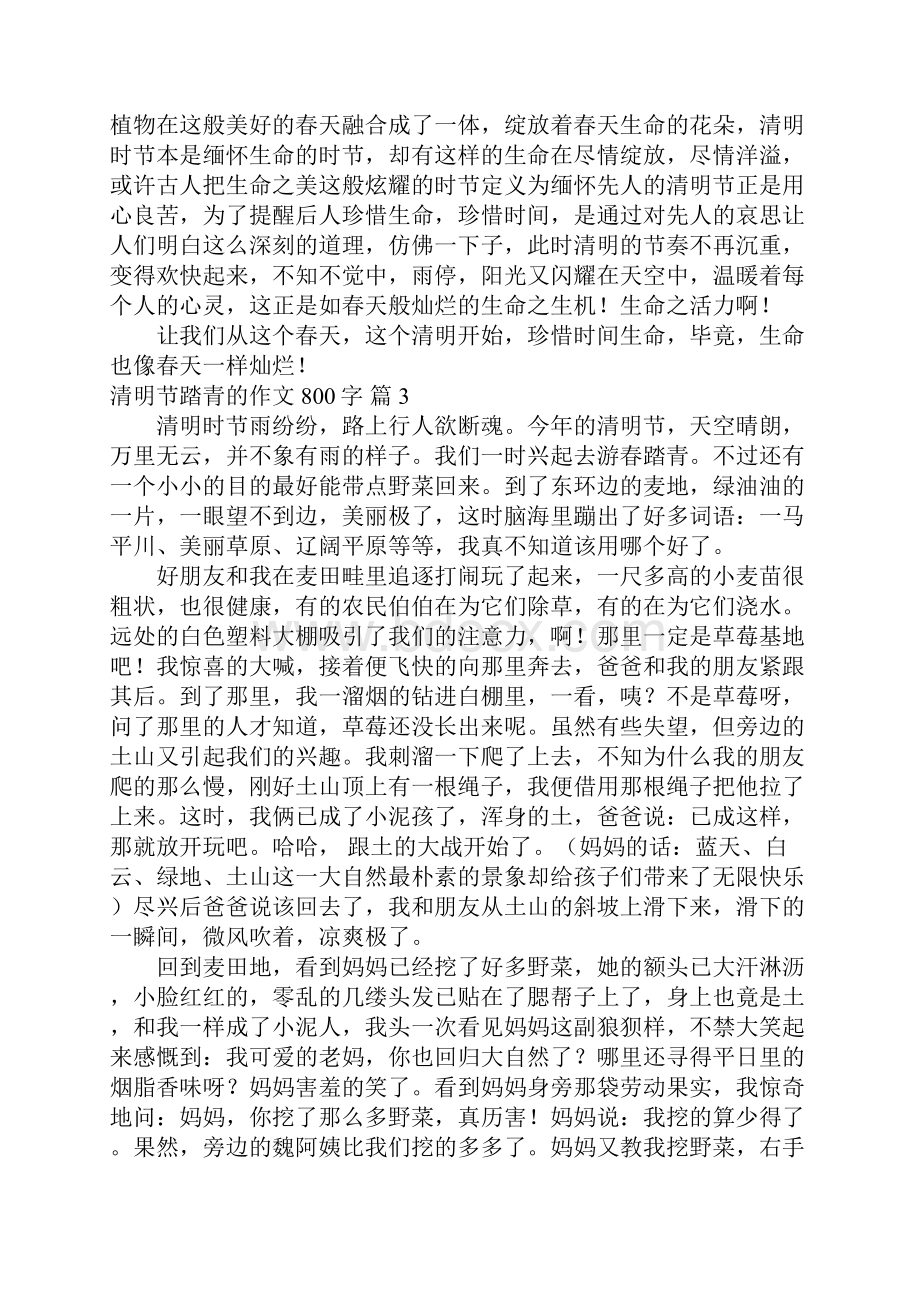 关于清明节踏青的作文800字5篇.docx_第3页