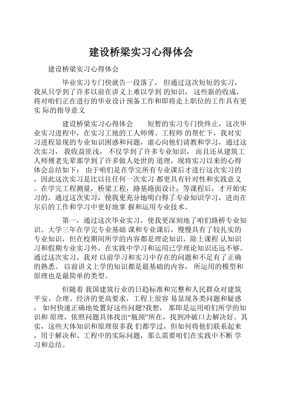 建设桥梁实习心得体会.docx