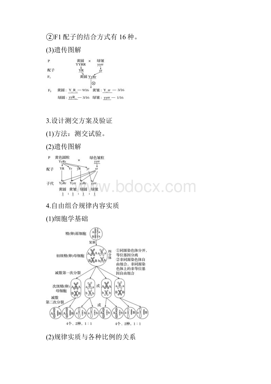 版生物高考大一轮复习第18讲基因的自由组合规律学案北师大版.docx_第2页