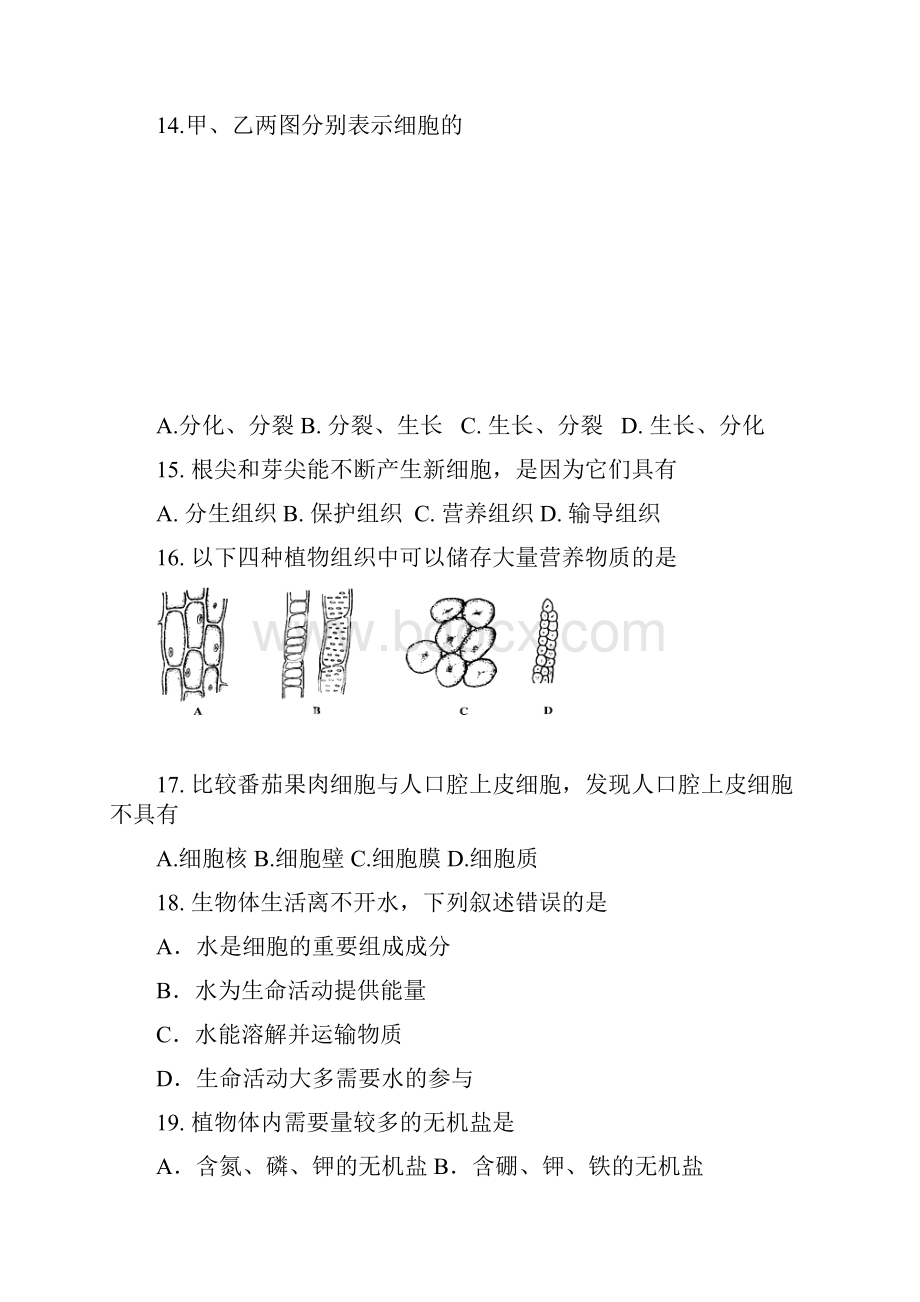 北京朝阳区017学第一学期期末检测.docx_第3页