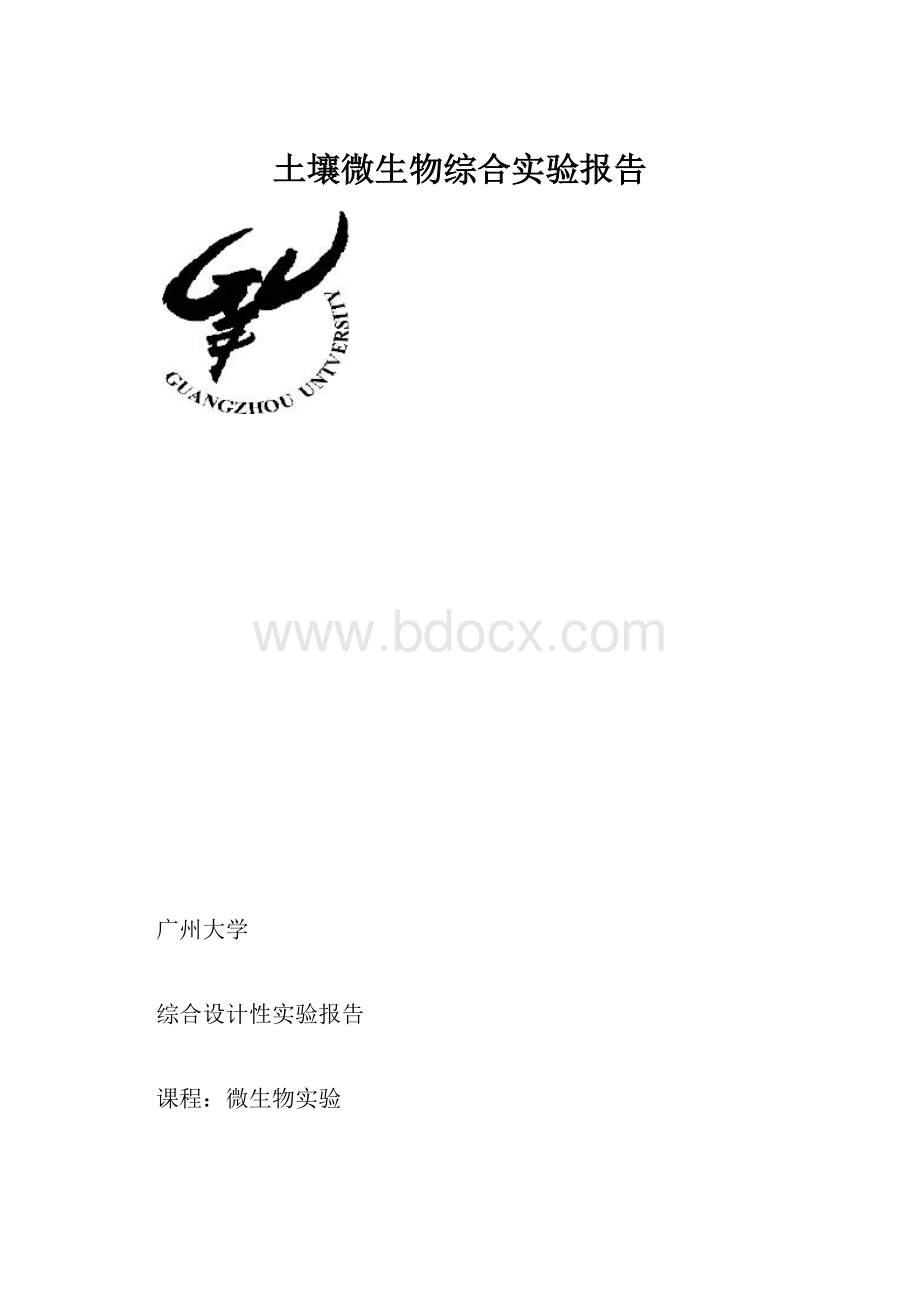 土壤微生物综合实验报告.docx_第1页