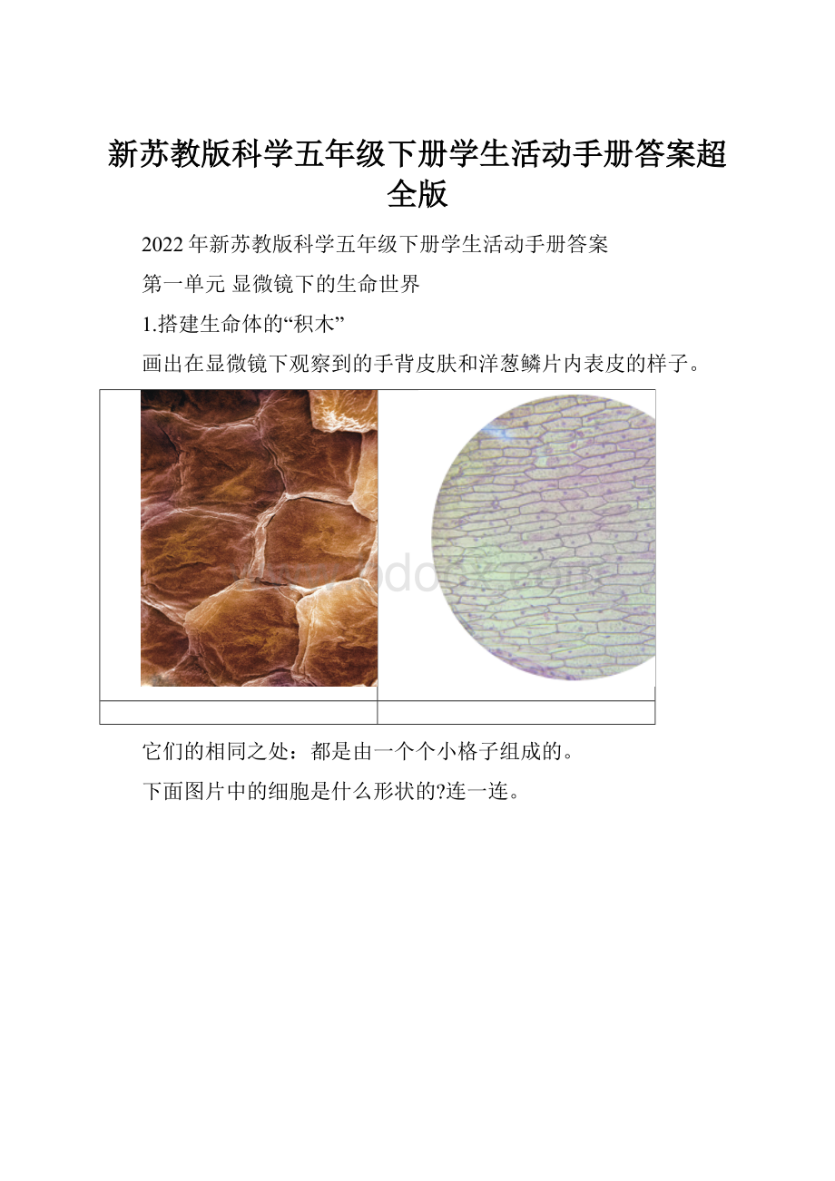 新苏教版科学五年级下册学生活动手册答案超全版.docx