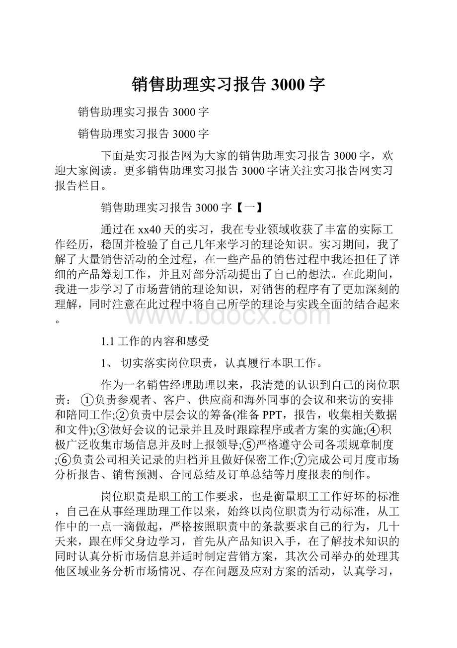 销售助理实习报告3000字.docx