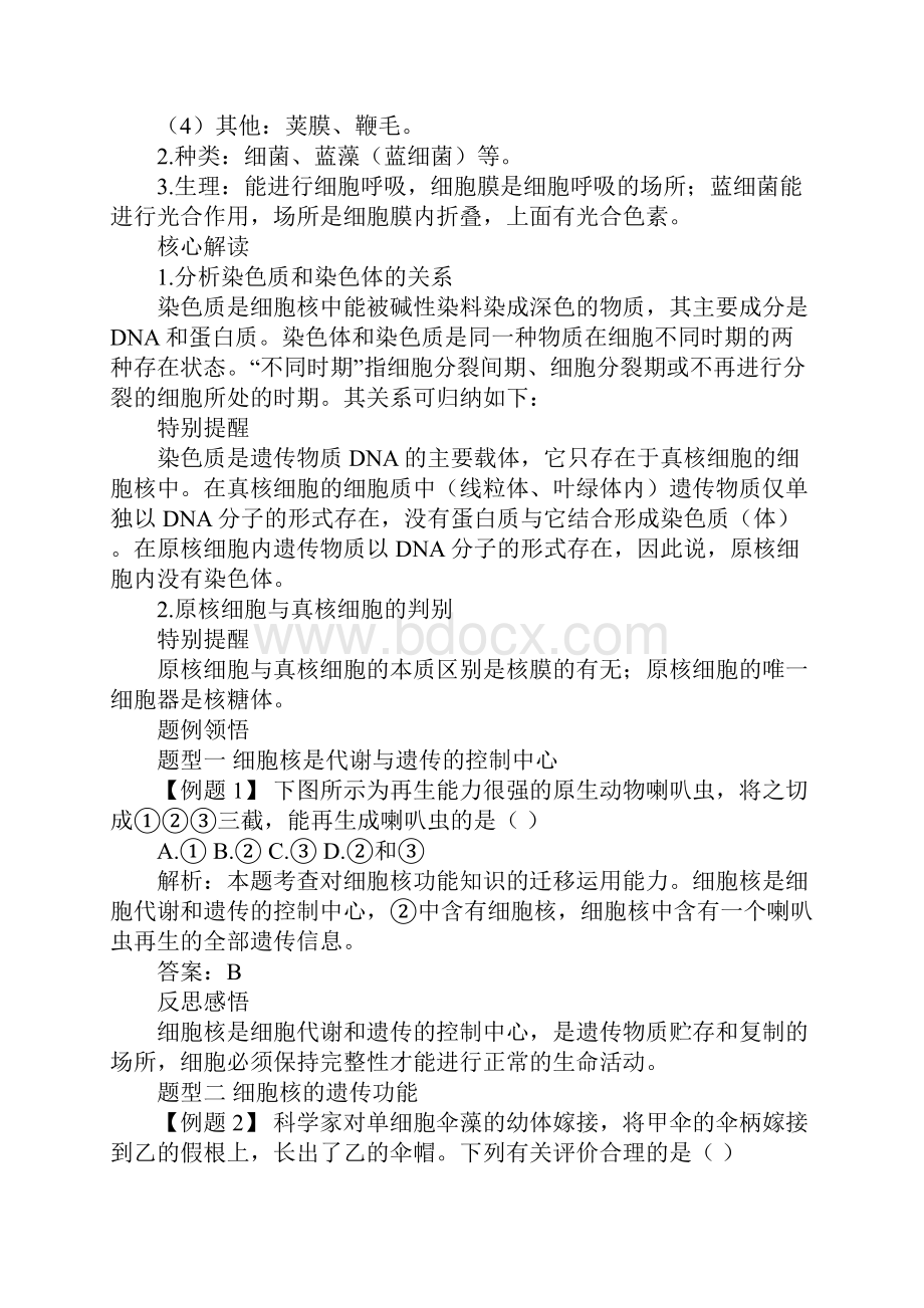 有关高中生物教案汇编十篇.docx_第2页