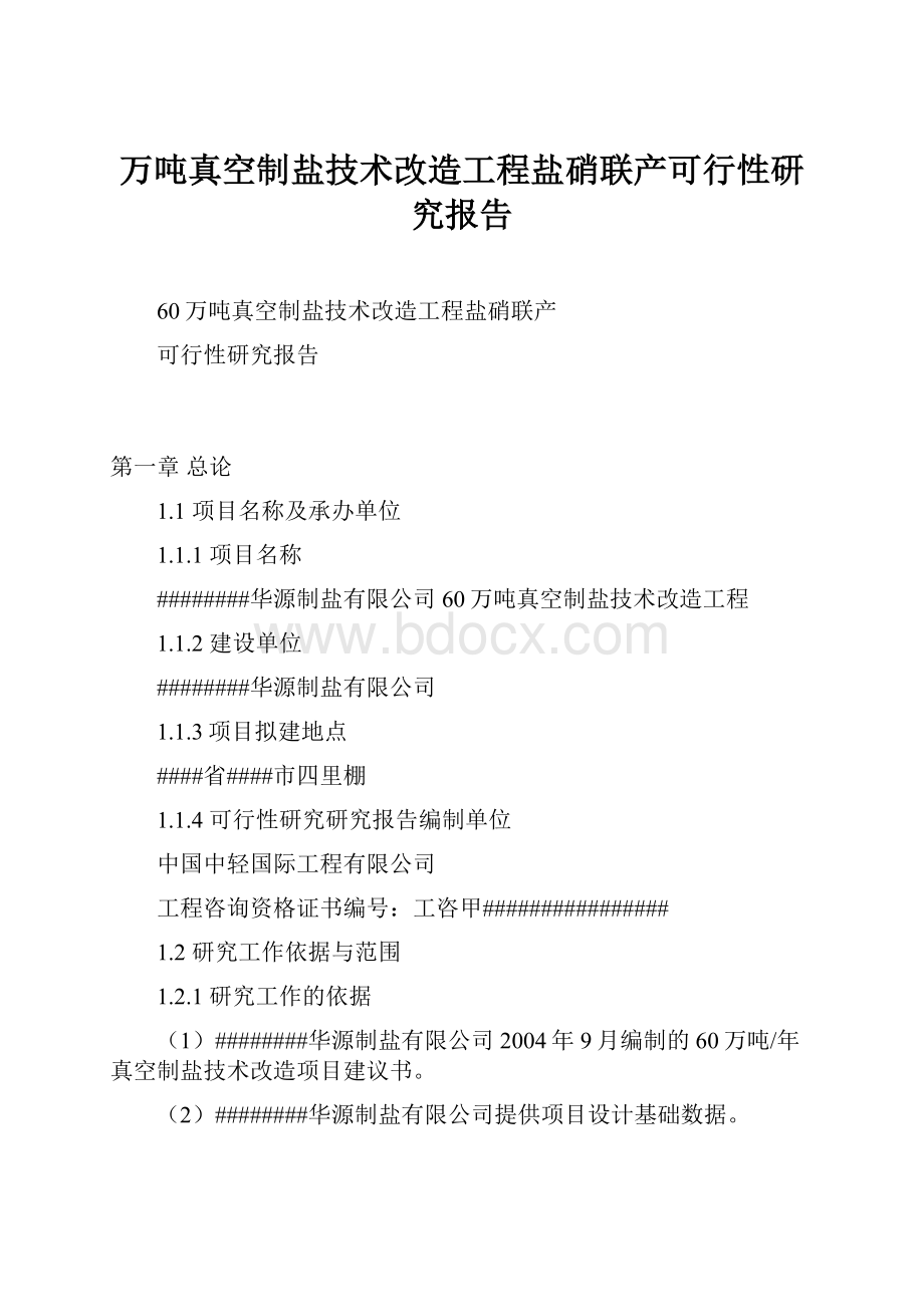 万吨真空制盐技术改造工程盐硝联产可行性研究报告.docx