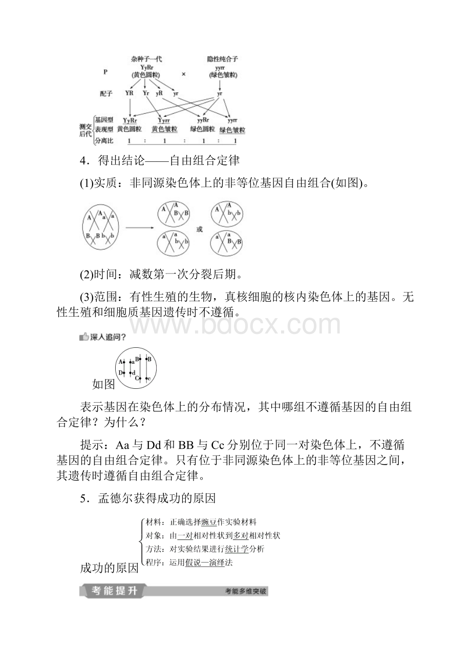 届高考生物一轮复习第五单元遗传的基本规律与伴性遗传第16讲基因的自由组合定律学案.docx_第3页