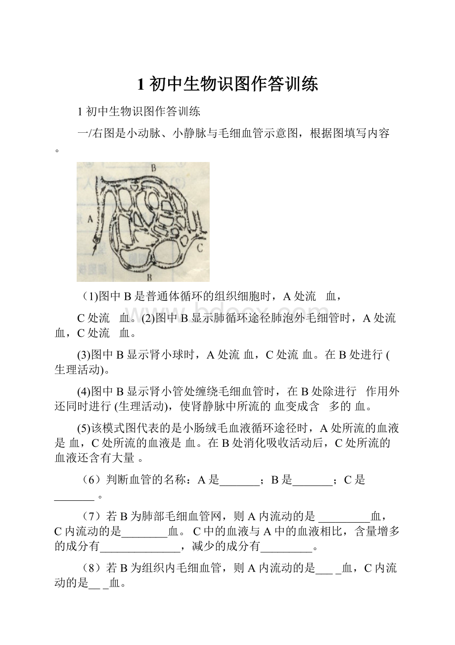 1 初中生物识图作答训练.docx_第1页