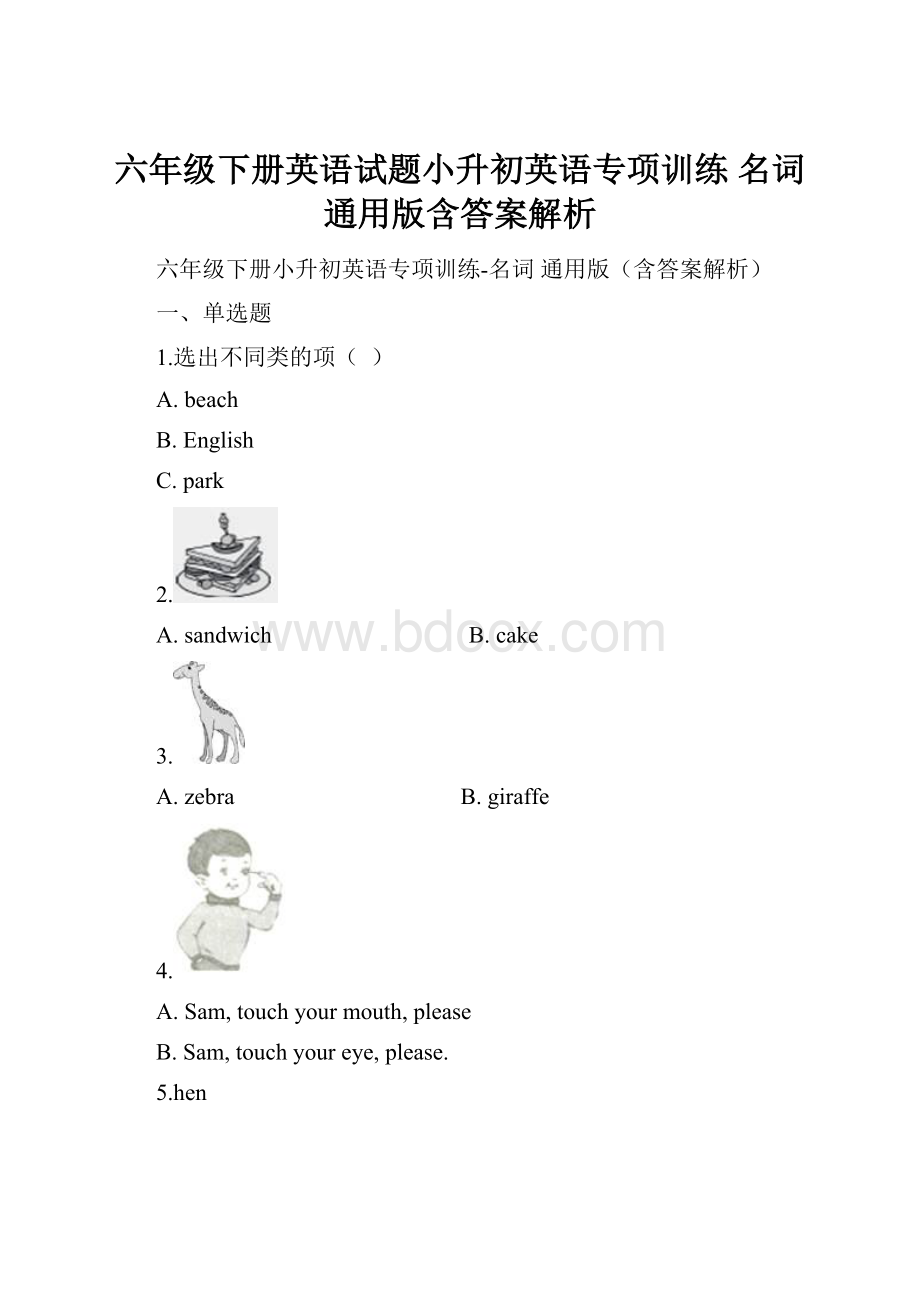 六年级下册英语试题小升初英语专项训练 名词 通用版含答案解析.docx