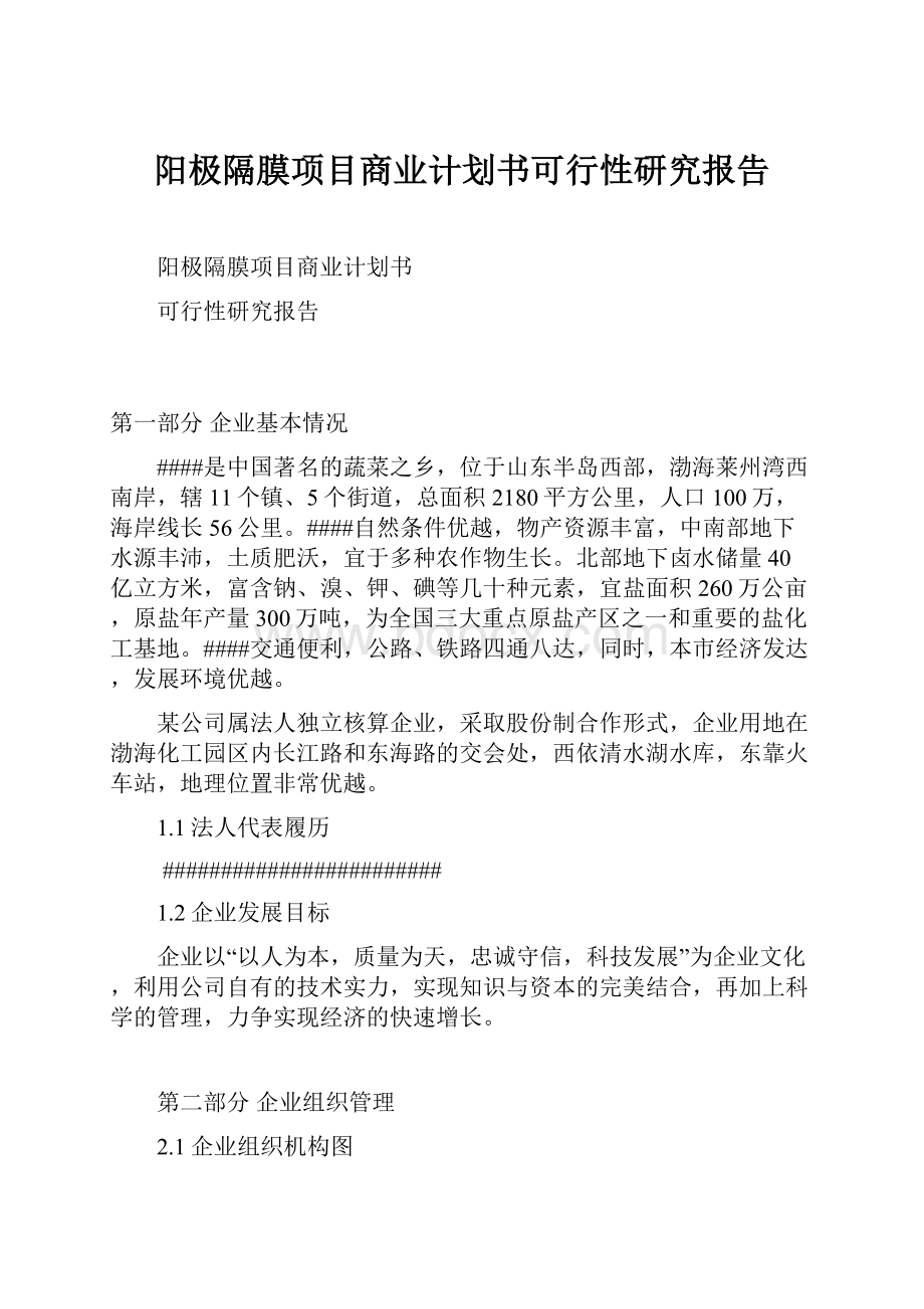 阳极隔膜项目商业计划书可行性研究报告.docx_第1页