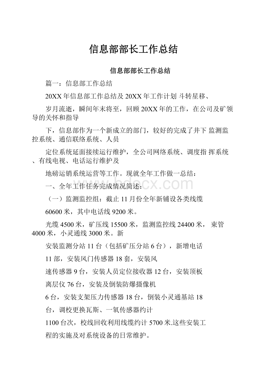 信息部部长工作总结.docx