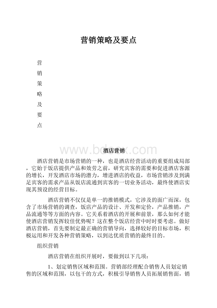 营销策略及要点.docx