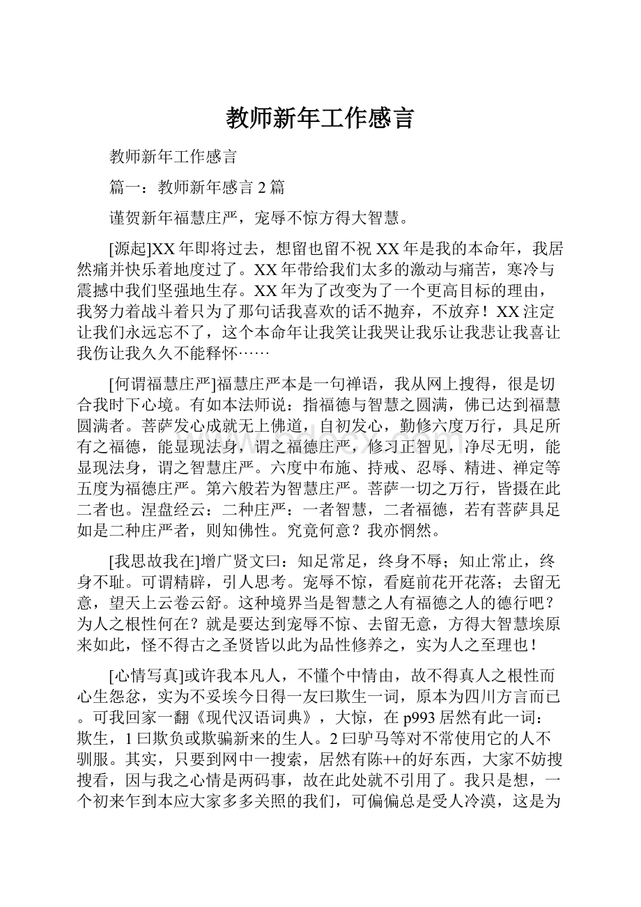 教师新年工作感言.docx