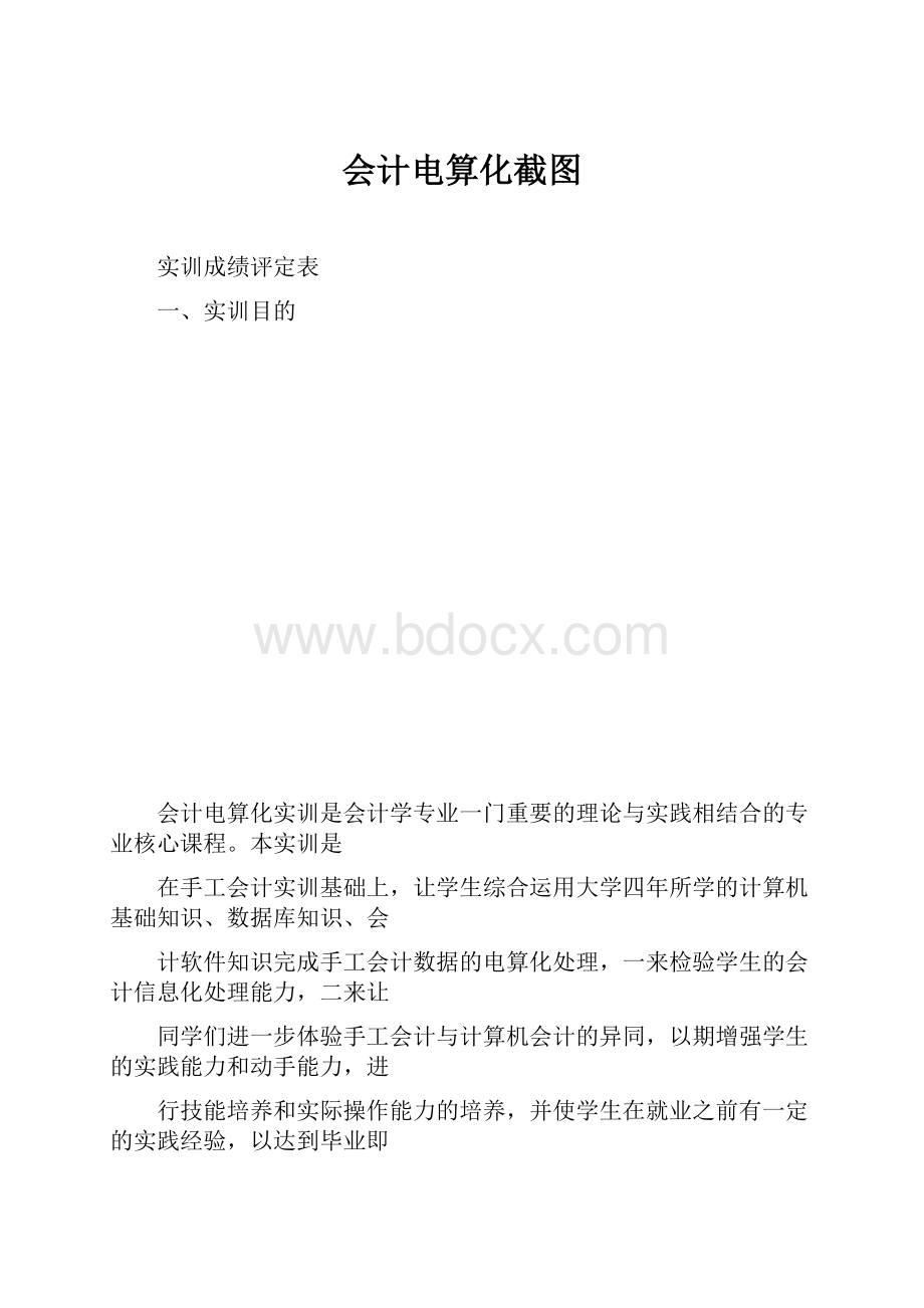 会计电算化截图.docx