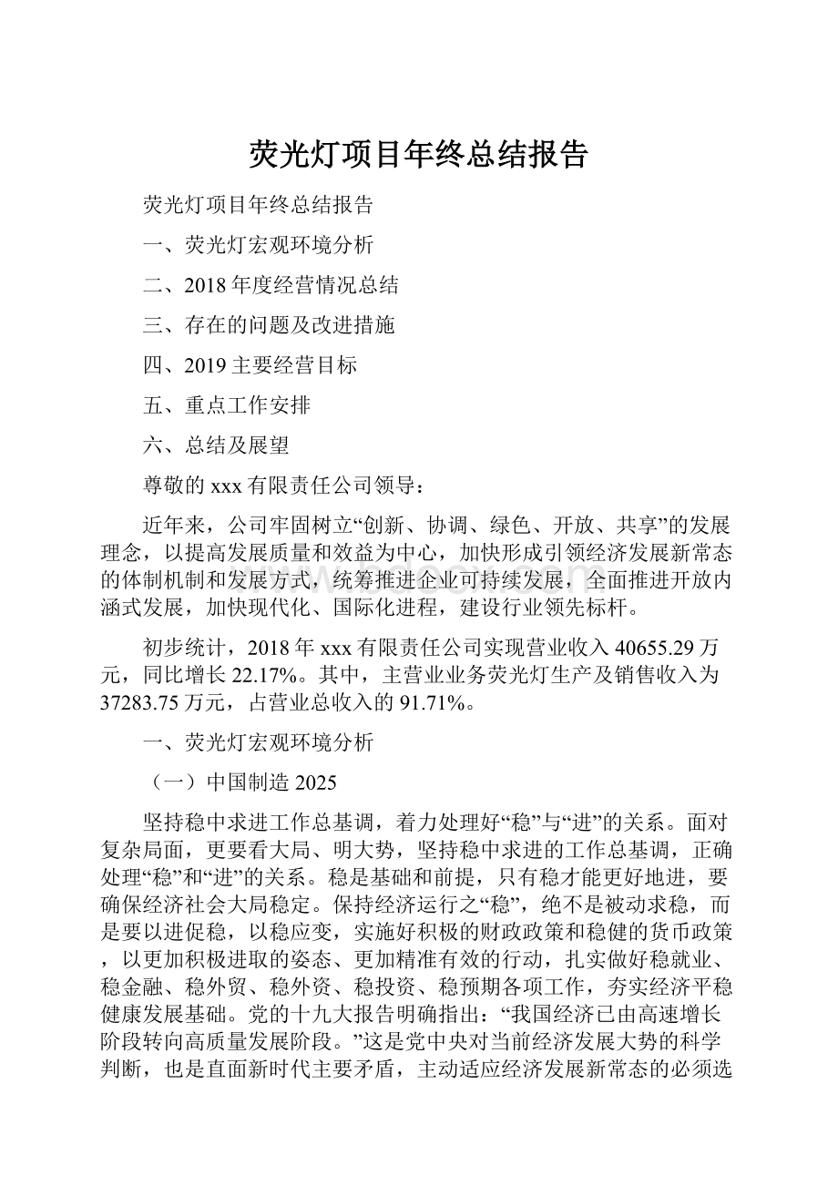 荧光灯项目年终总结报告.docx