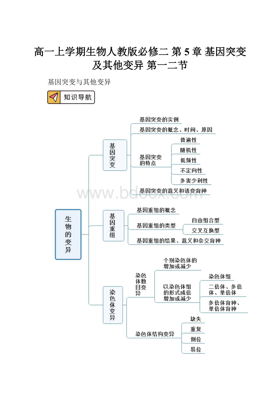 高一上学期生物人教版必修二第5章 基因突变及其他变异 第一二节.docx