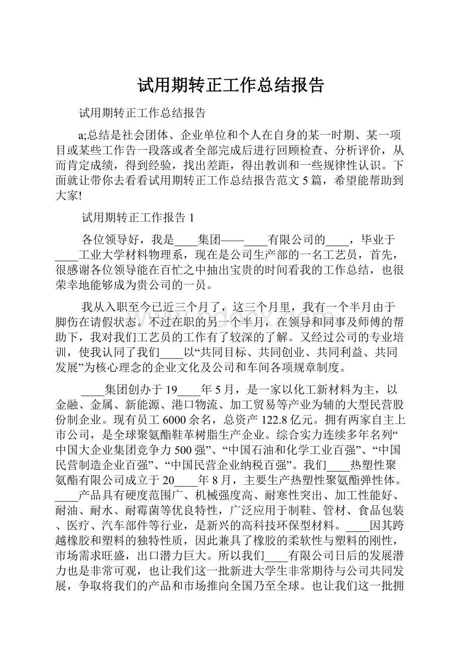 试用期转正工作总结报告.docx