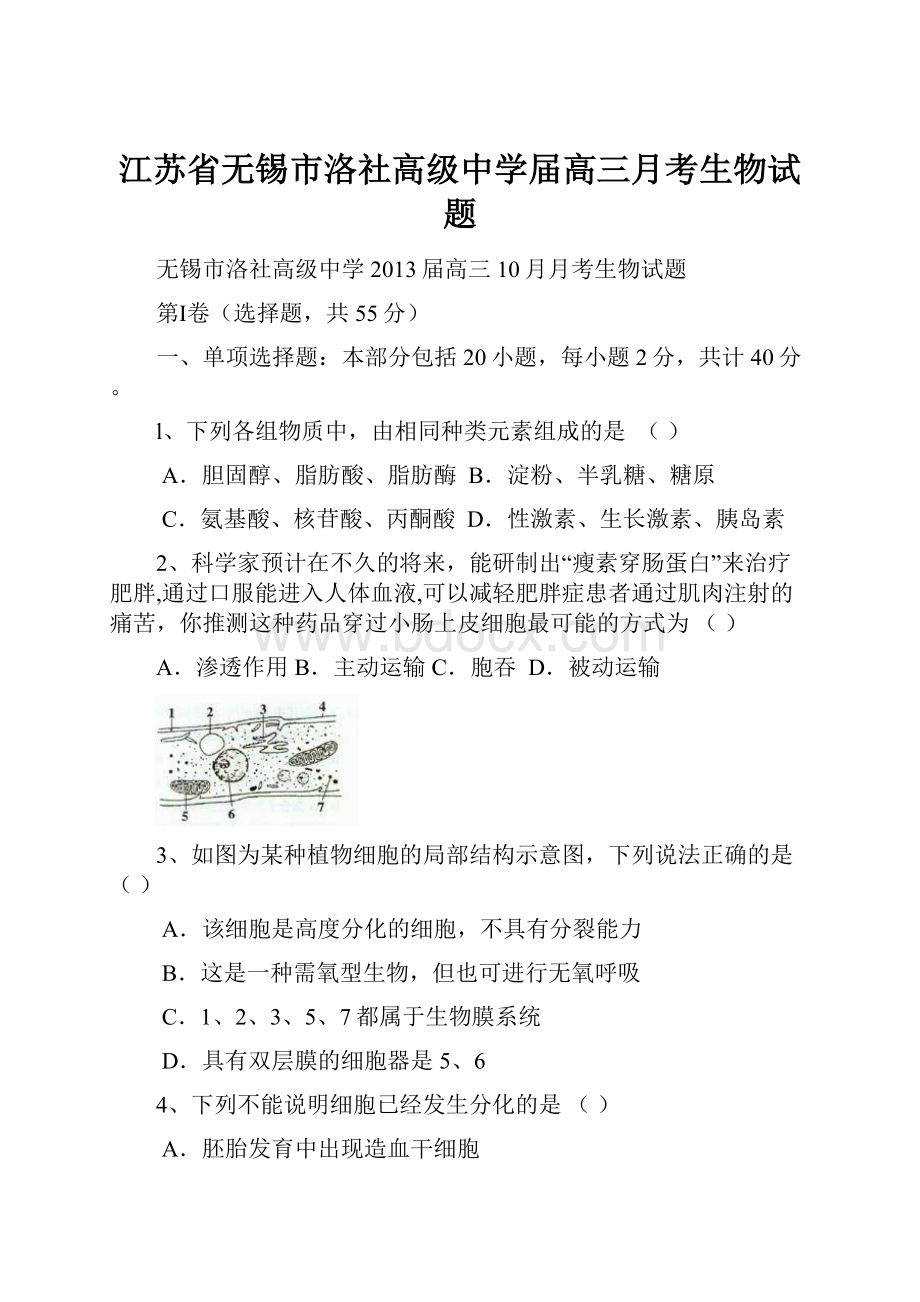 江苏省无锡市洛社高级中学届高三月考生物试题.docx_第1页