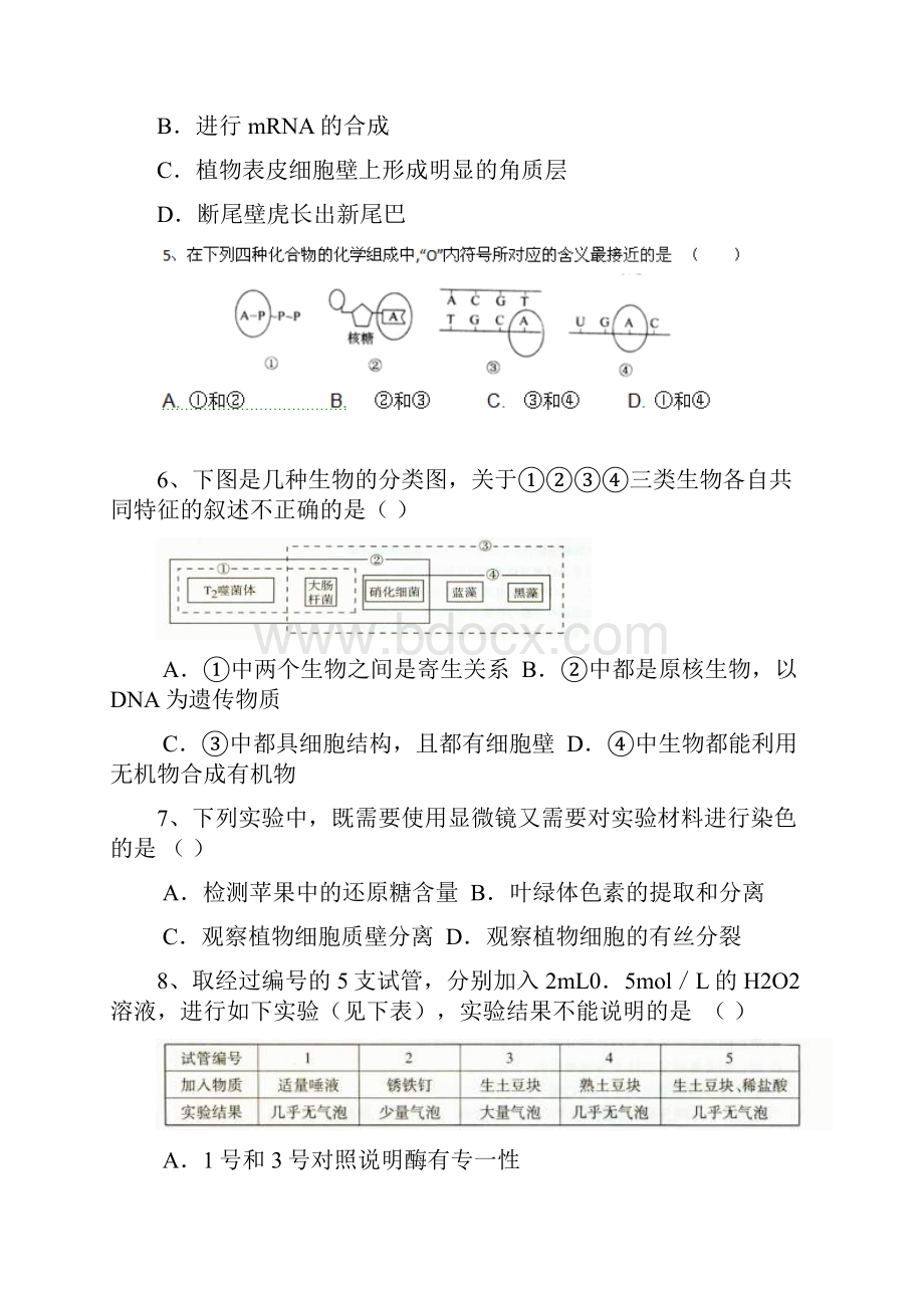 江苏省无锡市洛社高级中学届高三月考生物试题.docx_第2页