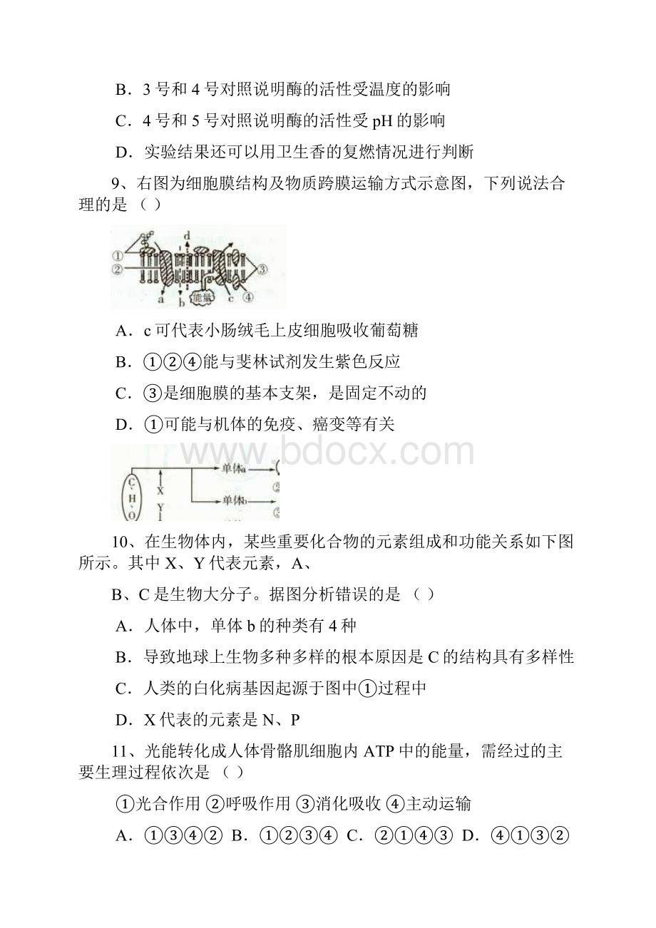 江苏省无锡市洛社高级中学届高三月考生物试题.docx_第3页