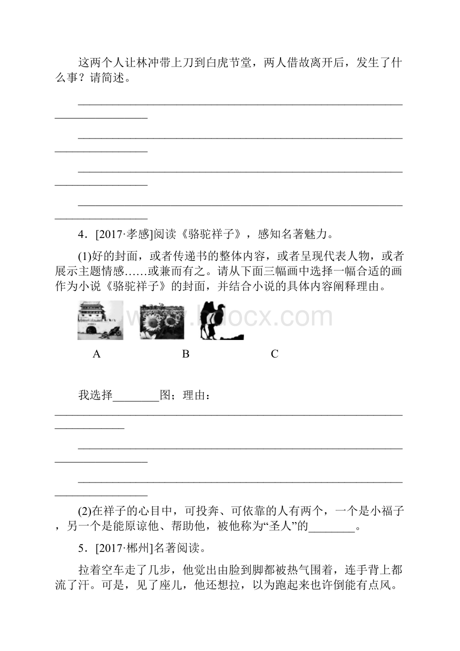 中考语文专题复习四文学常识与名著阅读作业新人教版.docx_第2页