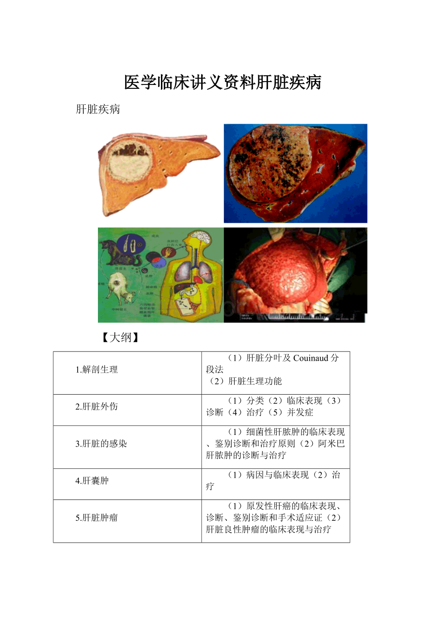 医学临床讲义资料肝脏疾病.docx